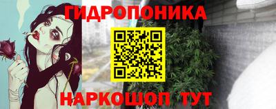стафф Краснодар