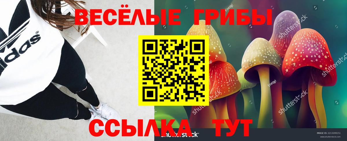 Псилоцибиновые грибы прущие грибы Камень-на-Оби
