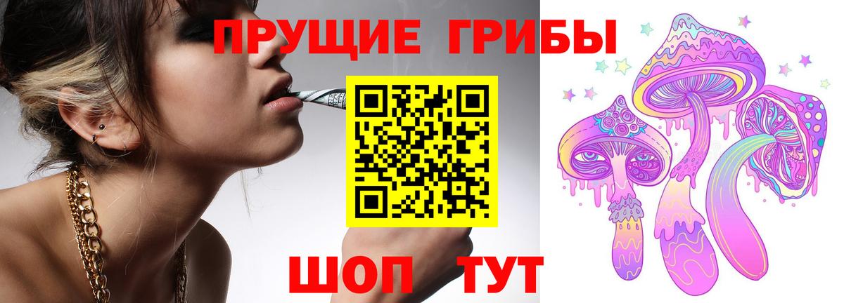 Псилоцибиновые грибы GOLDEN TEACHER  Псилоцибиновые грибы ЛСД  Камень-на-Оби  Вход с VPN 
